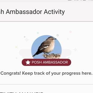 Posh Ambassador